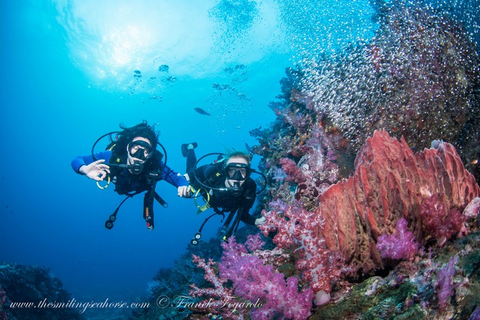 two divers holding hands in front of the fishy coral reef