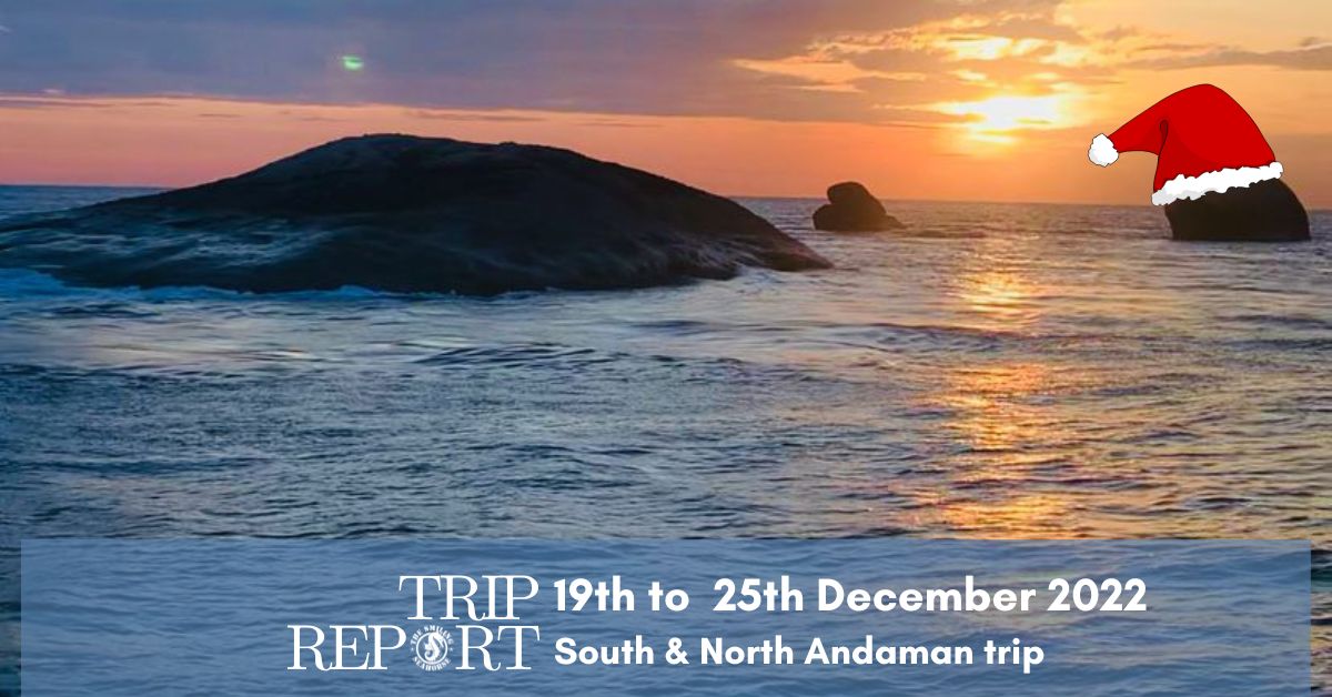 Trip Report North Andaman Christmas trip from 19th to 25th of December 2022
