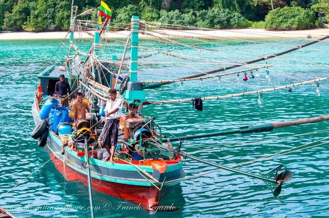 Local sea life in Myanmar