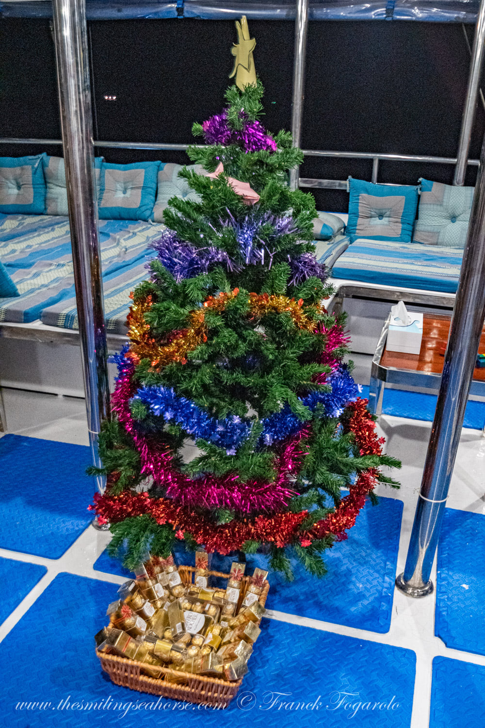The Smiling Seahorse Christmas tree