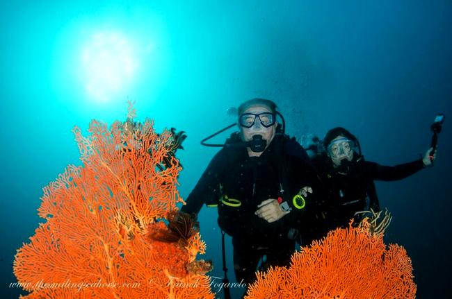 Happy divers in Seafan Forest