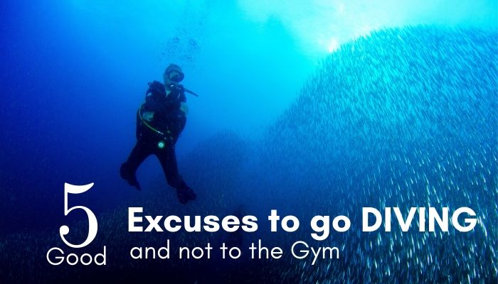 5 good excuses to go diving and not to the gym