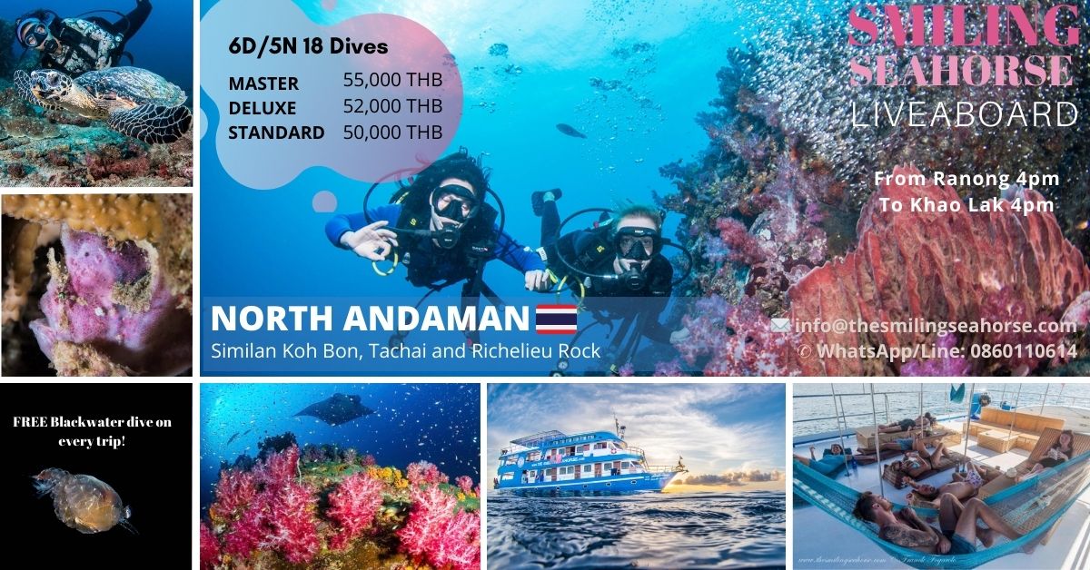 Best of Thailand: Surin & Similan Islands (Koh Tachai, Koh Bon) and Richelieu Rock