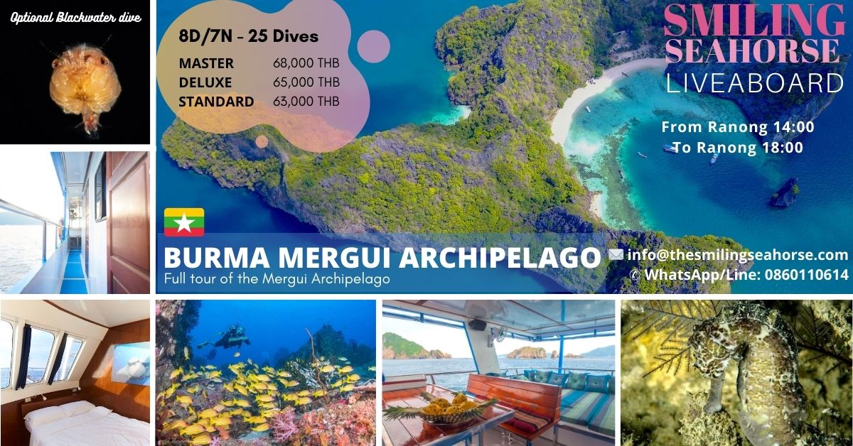 8 days diving around the undiscovered Mergui Archipelago