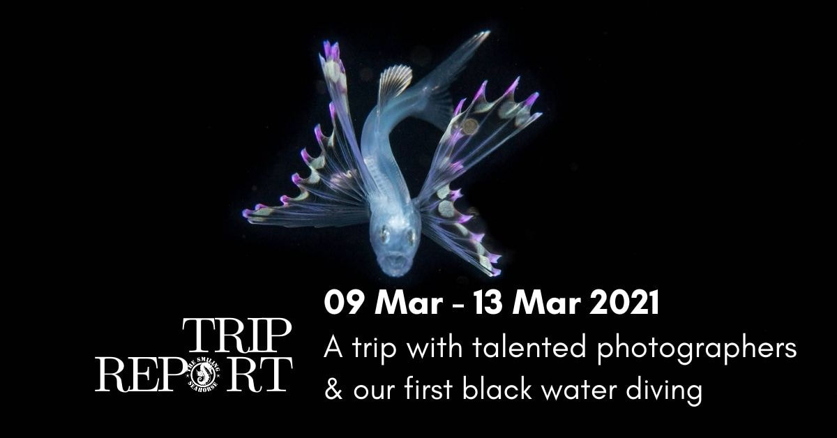 The 9th to 13th March Thailand cruise... A special UW photographers!