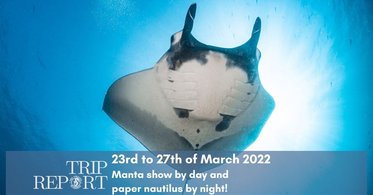23rd Mars 2022 trip, beautiful Andaman Sea and Manta show!