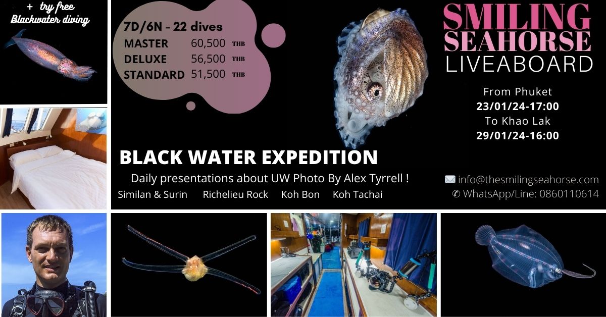 Blackwater diving is an extraordinary new way of night diving!