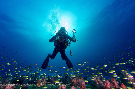diver photography underwater coral reef amazing paradize best place diving thailand andaman burma mergui archipelago