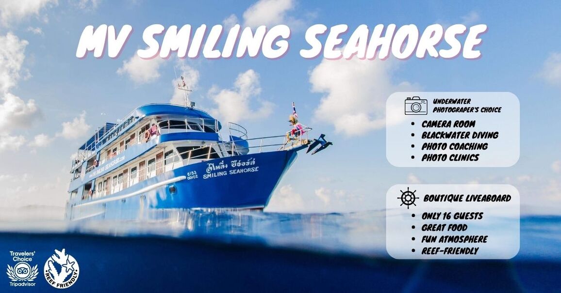 MV smiling seahorse dive cruise boat