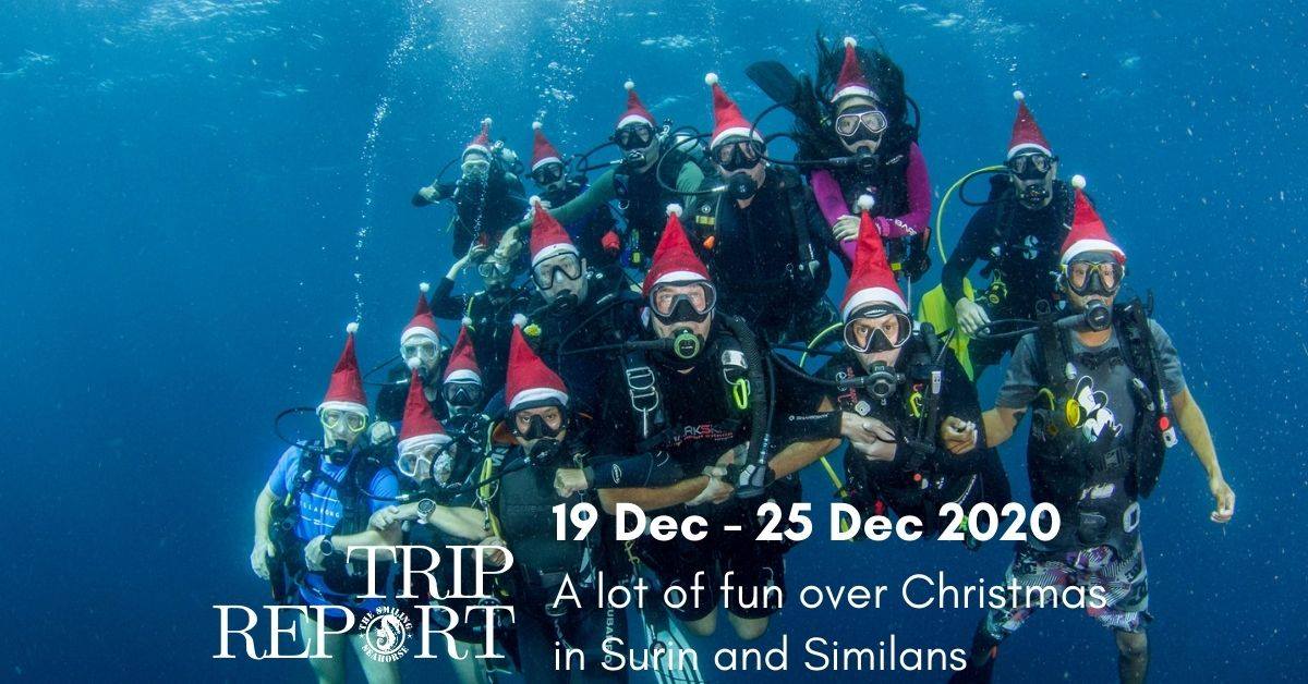 Christmas 2020 cruise, a festive and exciting week of diving in Thailand