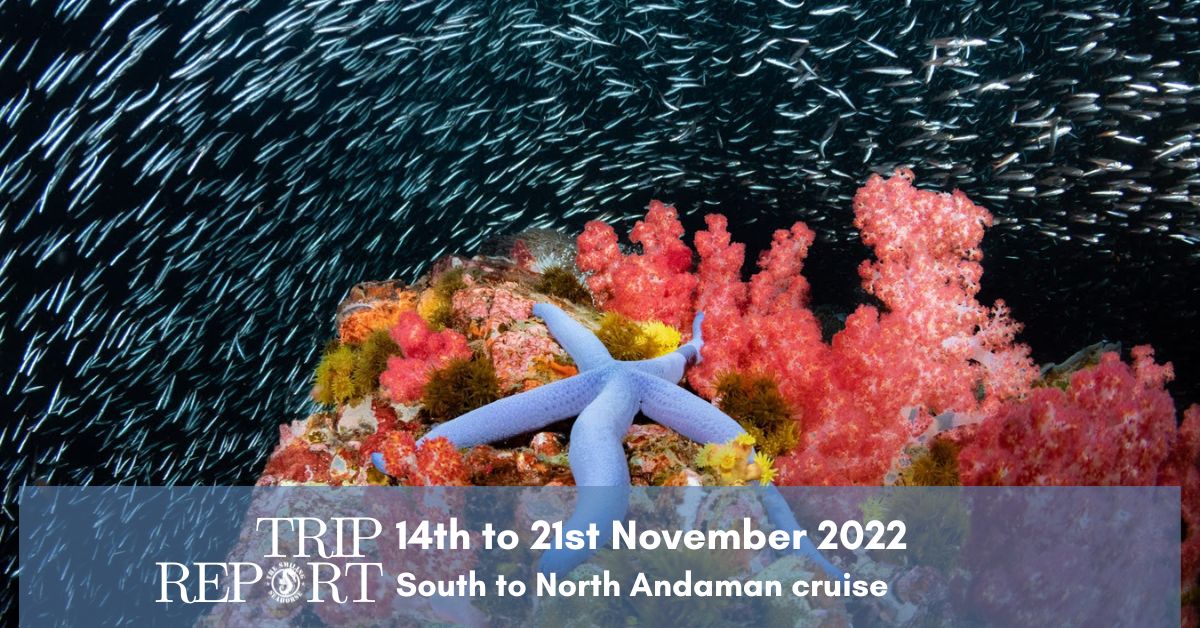 Andaman cruise trip report