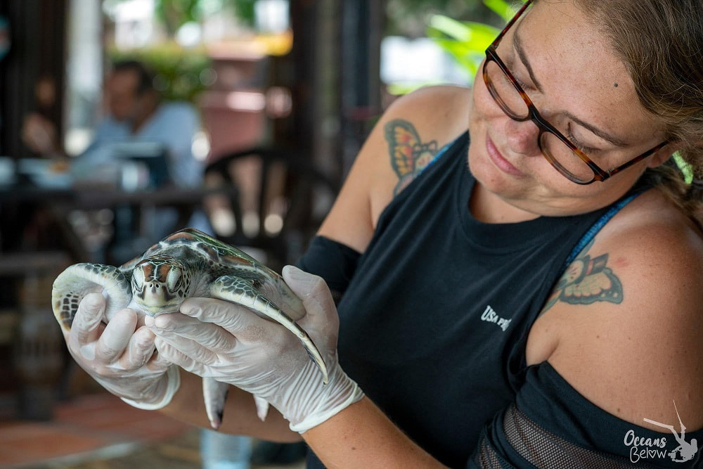 Koh Tao Whale Shark leader: Marine Biologist and Conservationist Kirsty Magson