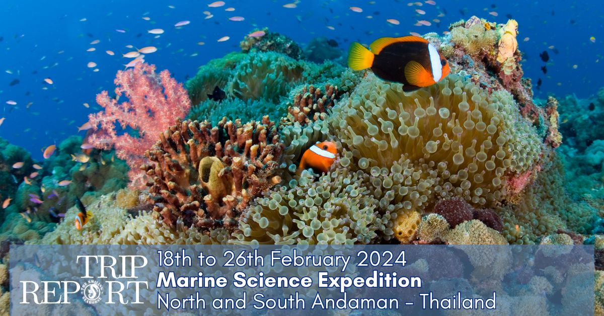 marine science expedition 2024