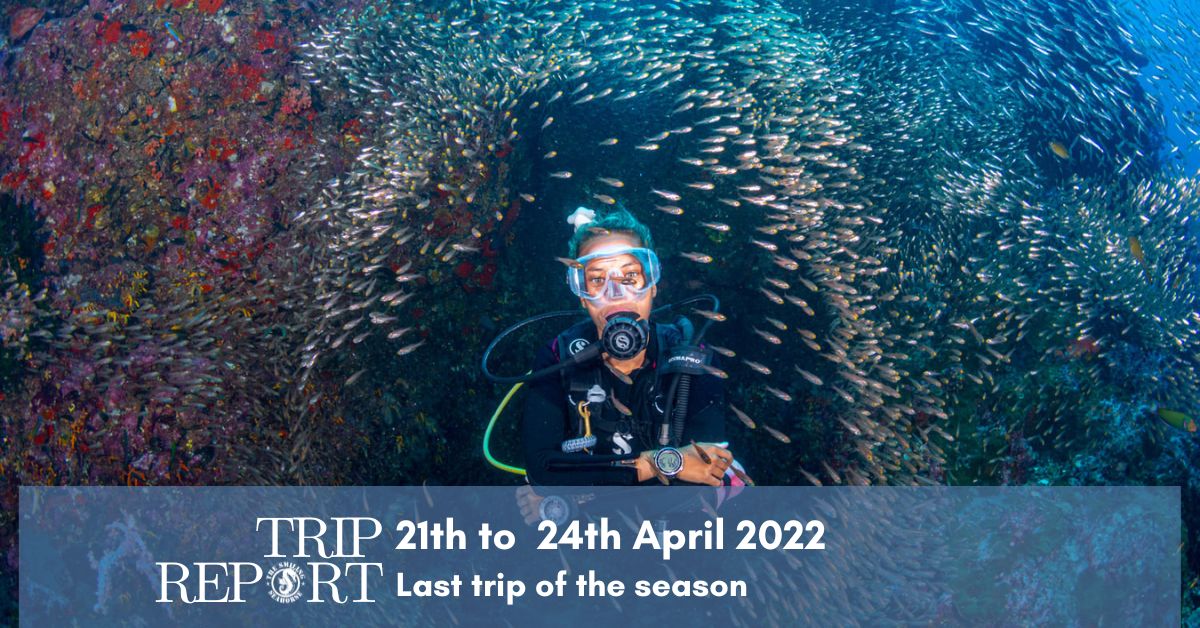 21th April 2023, last Andaman trip of the season