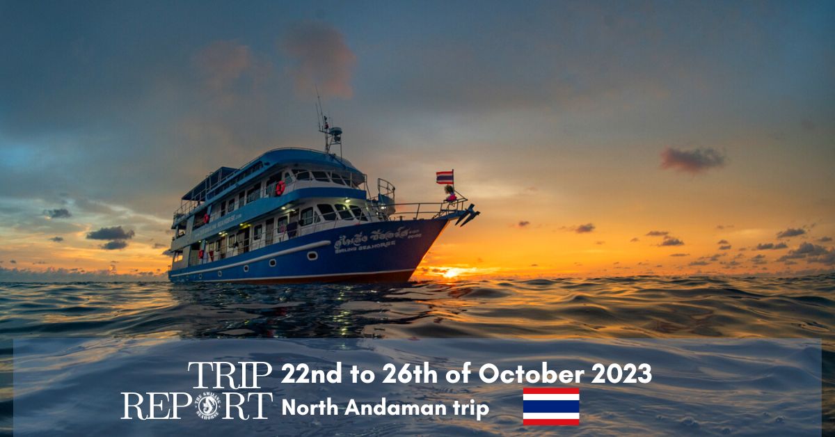 trip report Thailand liveaboard october 2023