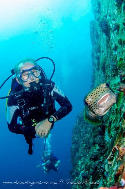 A happy diver and smiling chest fish...