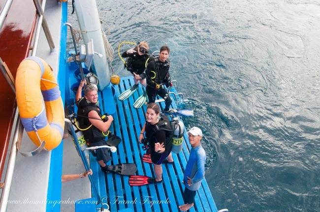 ​We didn't need to beg the divers to do the four dives a day!