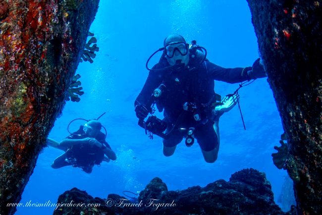 Our night dive at Elephant Head Rock was filled with exhilarating swim throughs