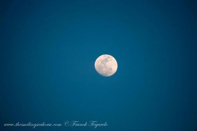 Full moon on Mergui Archipelago