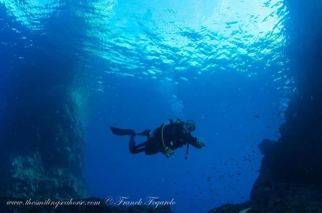 Dive Mergui Archipelago with The smiling Seahorse