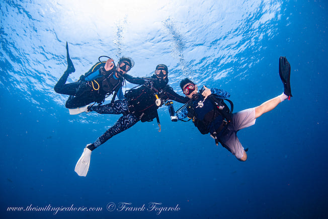 divers in the blue