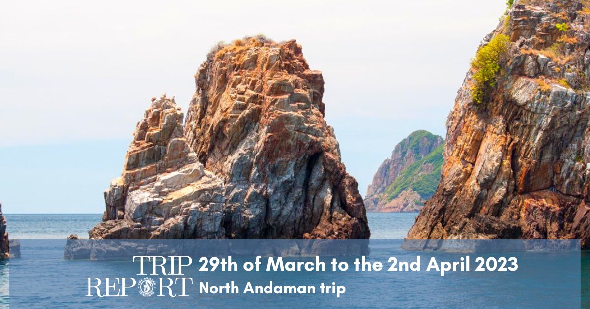 diving trip report April 2023 in Thailand's North Andaman