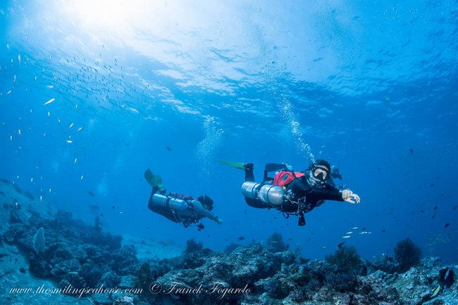 The advanced open water course is comprised of 5 adventure dives. Adventure dives are designed to give you a taste of the specific aspects of the diving world to see what you enjoy the most.
