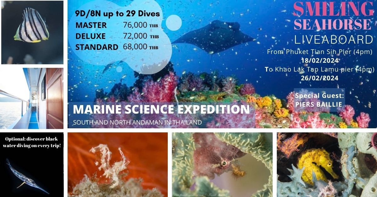 9D8N expeditions to learn more about the coral reef inhabitants