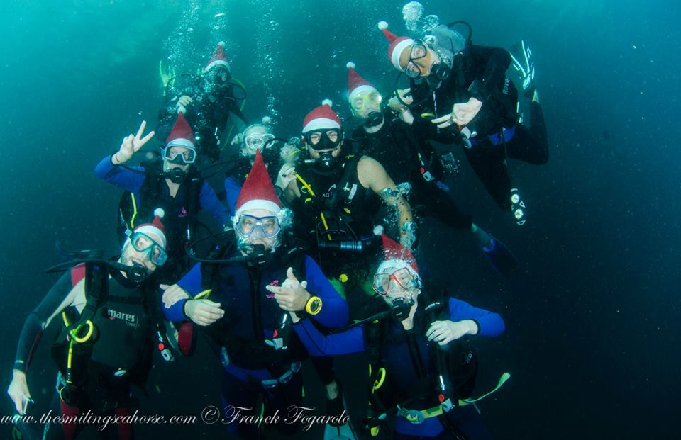 diving with chritmas hats
