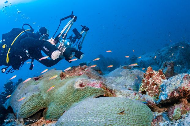 photographer and octopus thailand underwater