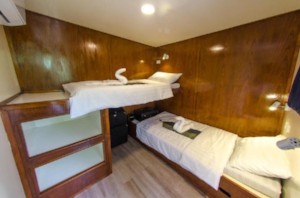 luxury cabin of the smiling seahorse