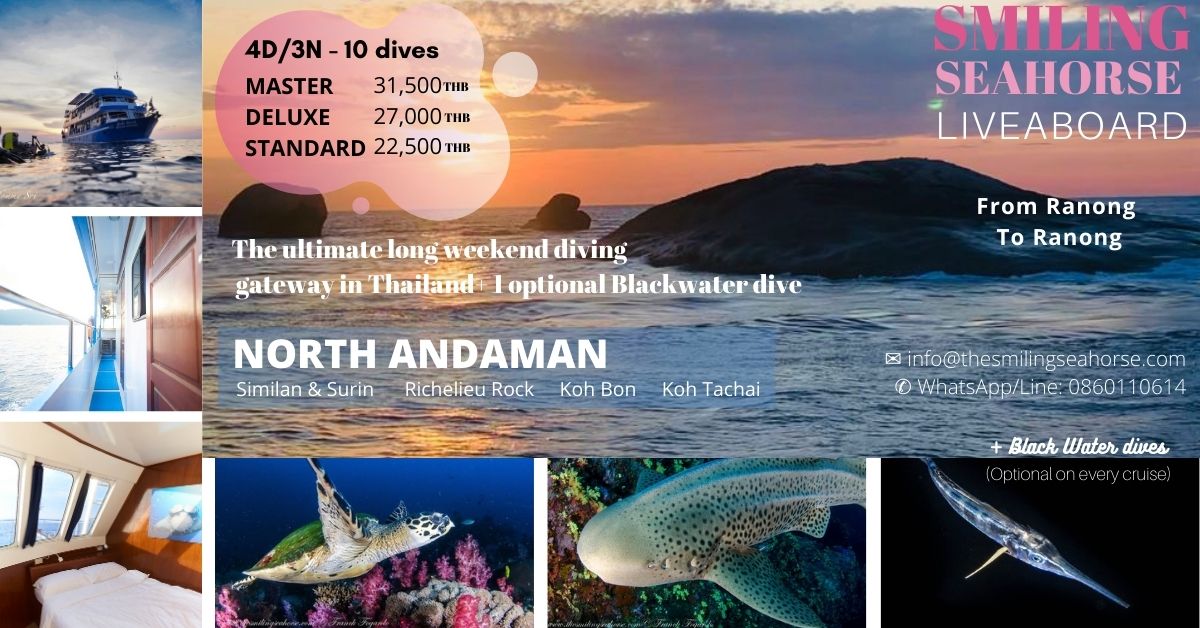 4d3n north andaman evening to evening