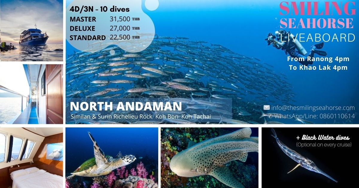 4d3n north andaman evening to evening