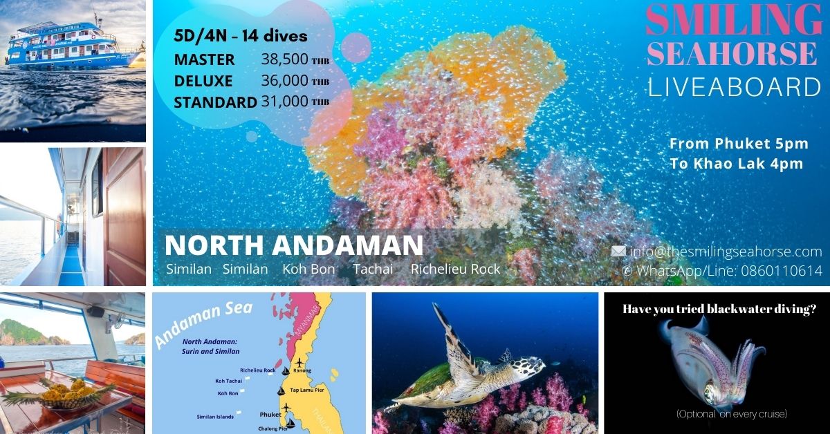 Best of Thailand: Similan Islands (Koh Tachai, Koh Bon), Richelieu Rock and Boonsung Wreck