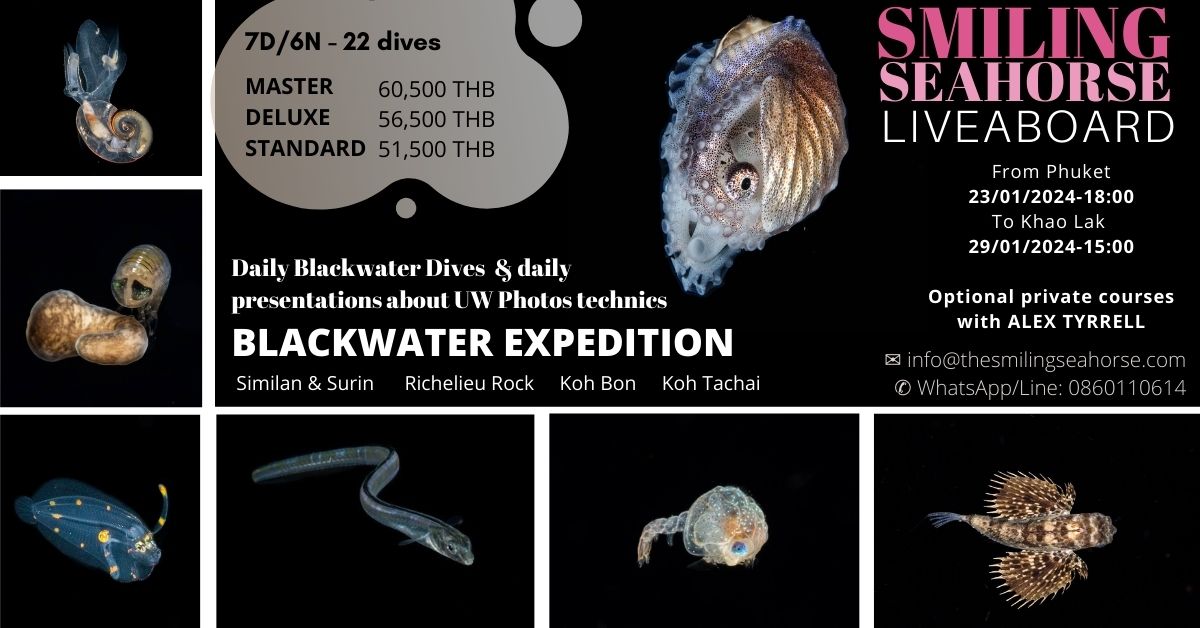 thailand blackwater photo liveaboard expedition