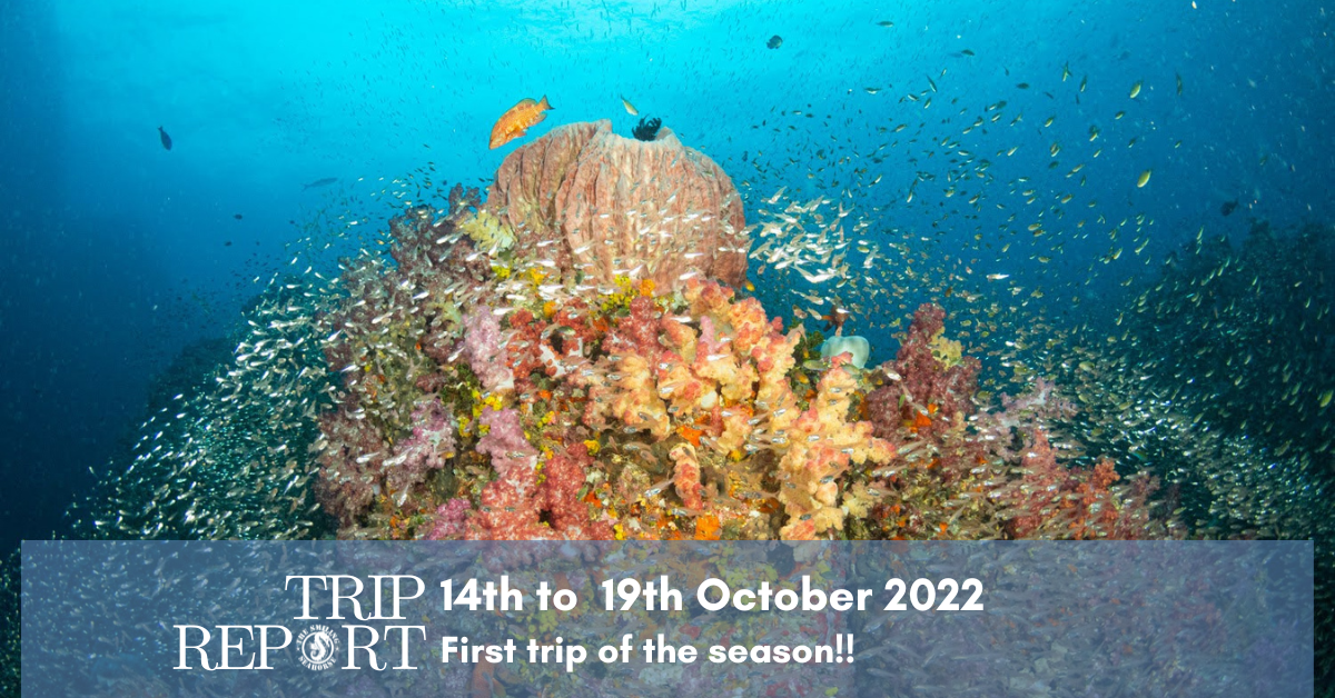 1st trip of the season: Marine Ecology trip in the North Andaman from 14th to 19th of October 2022