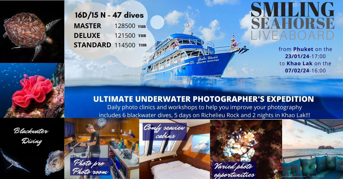 2 weeks, 2 special cruises, 2 times more photo opportunities!