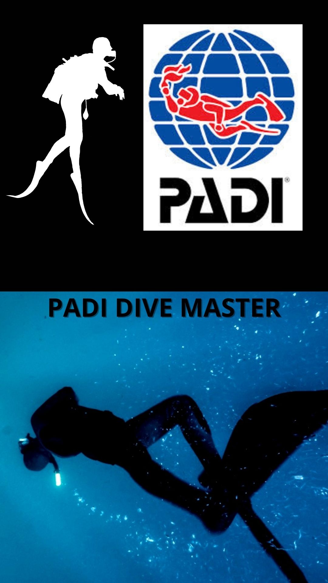 Dive master: ​no more holding back and GO PRO!
