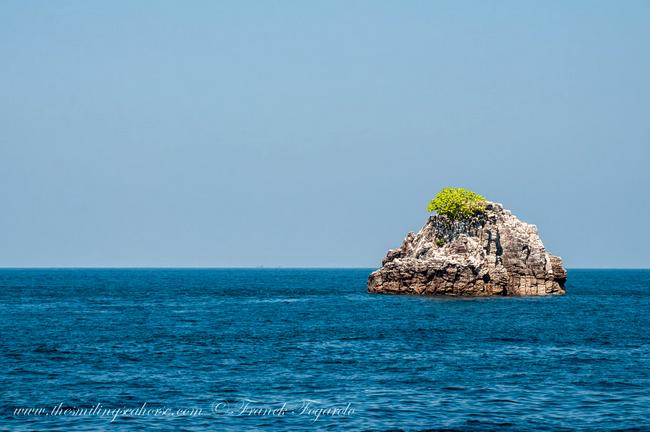 Lonely tree on a rock in Mergui Archipelago