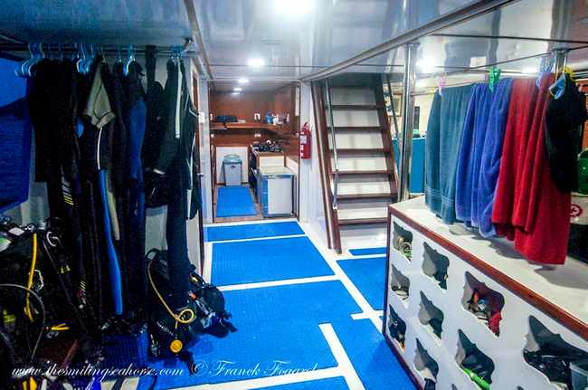 The Smiling Seahorse's diving platform offers plenty of individual storage for your dive gear