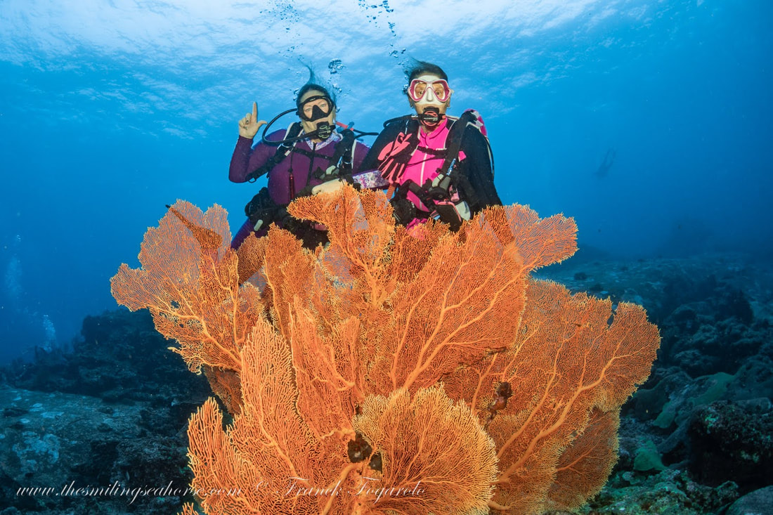 Happy divers behind giant seafan