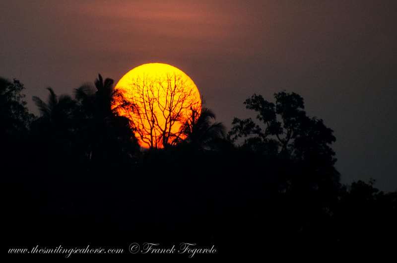 Wonderful Indian sunset