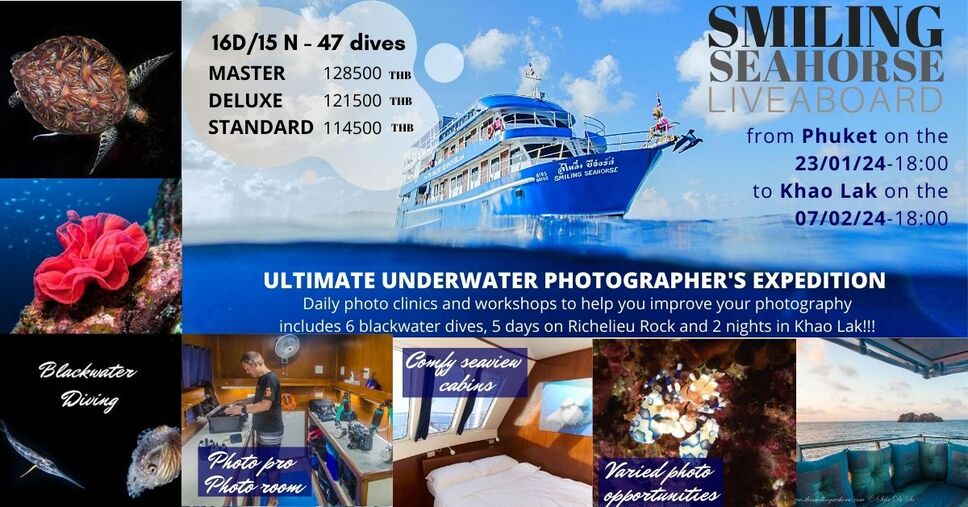 2 weeks, 2 special cruises, 2 times more photo opportunities!