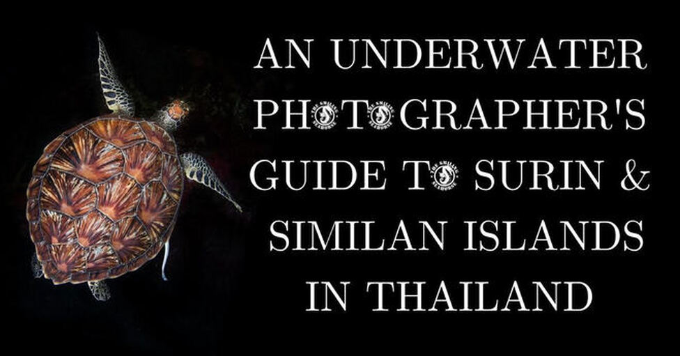 Our underwater photographer’s essential guide to the Surin and Similans in Thailand