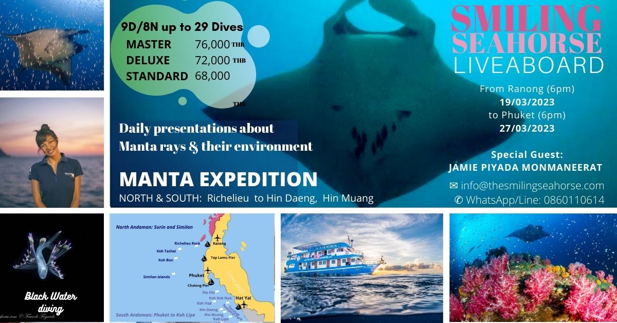 Thailand Manta expedition 2022