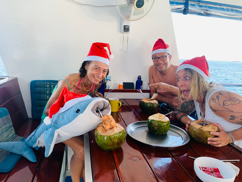 A coconut for Christmas? Sharky?