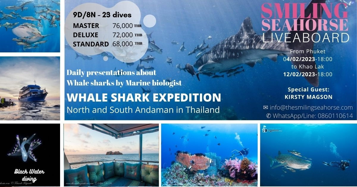 Thailand Manta expedition 2022