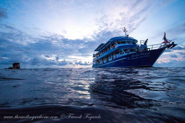 The MV Smiling Seahorse at sunset