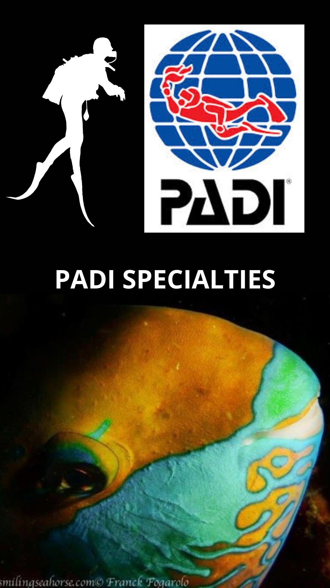 PADI Specialties enhance your diving skills and allow you to explore facets of scuba diving