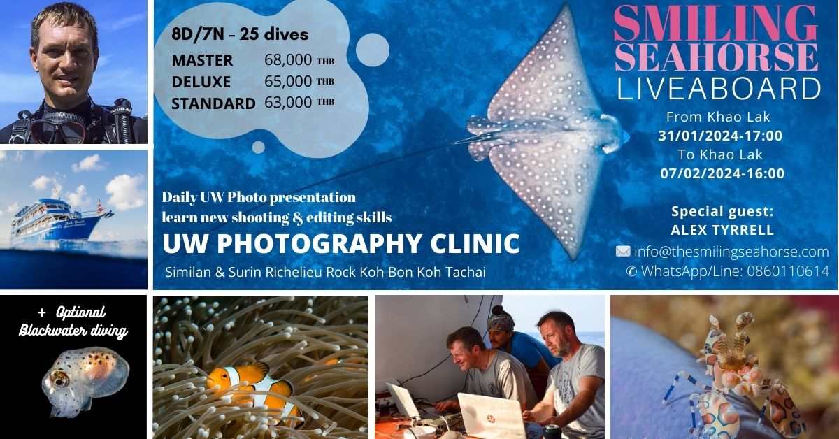 Thailand Underwater photo clinic Andaman 2022